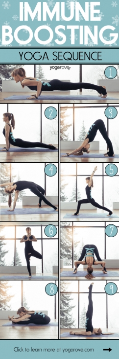 basic yoga poses for immunity images