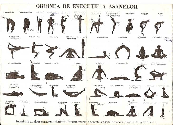 best yoga asanas order image