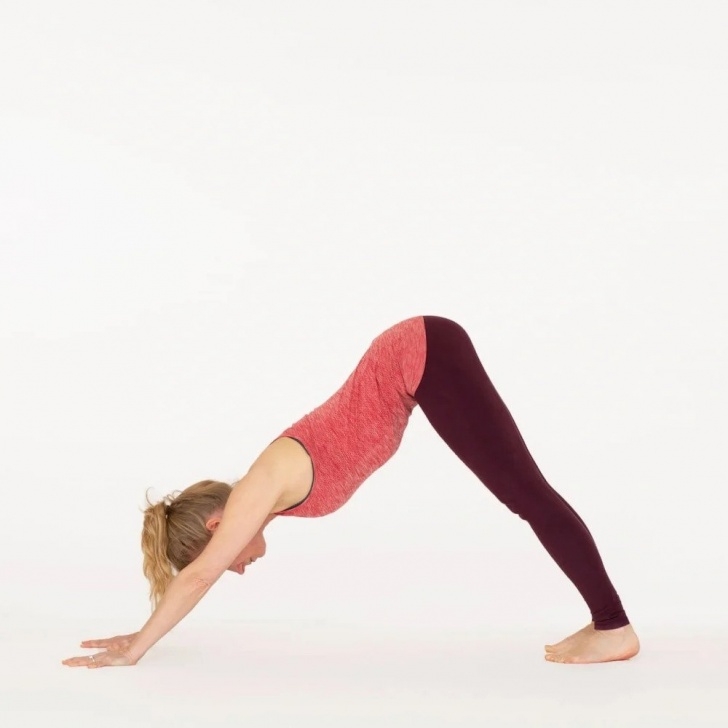guide of downward facing dog posture image