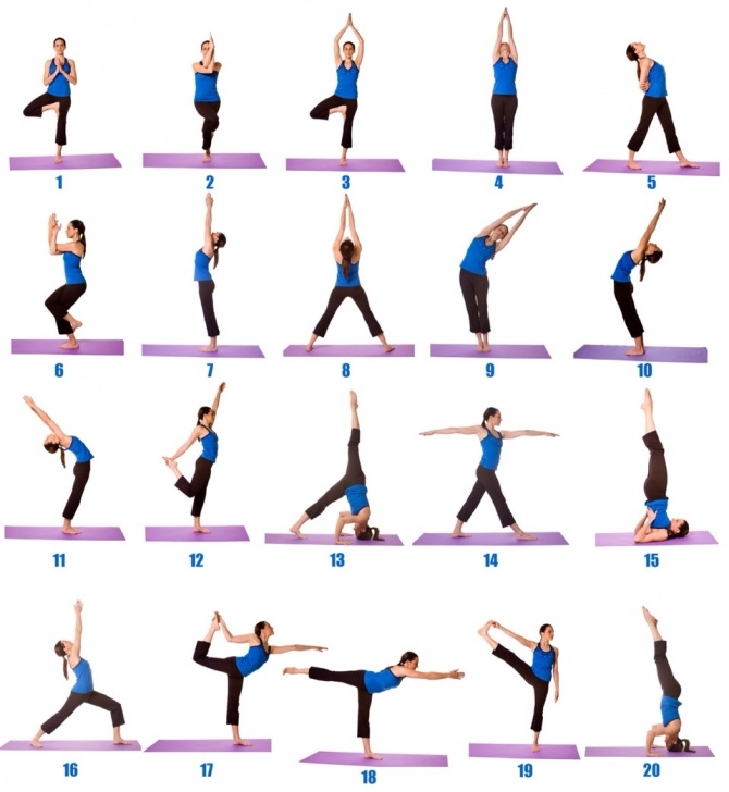 guide of yoga poses for beginners at home picture