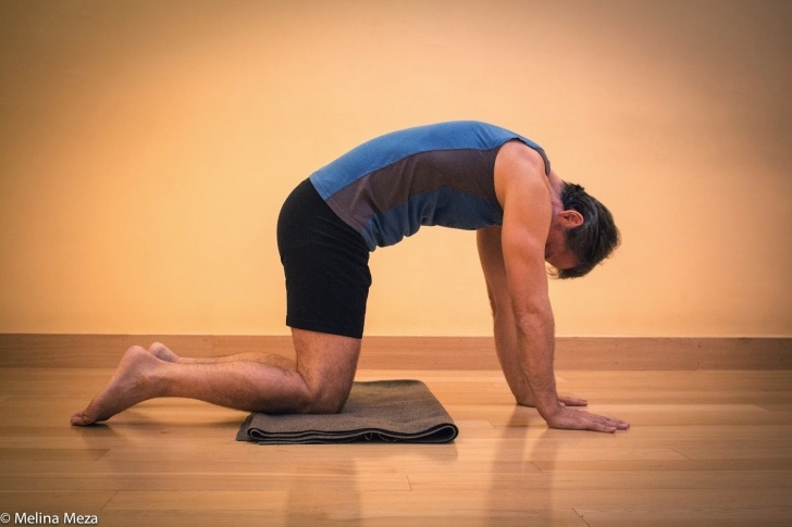 Cat Cow Yoga Pose Breathing