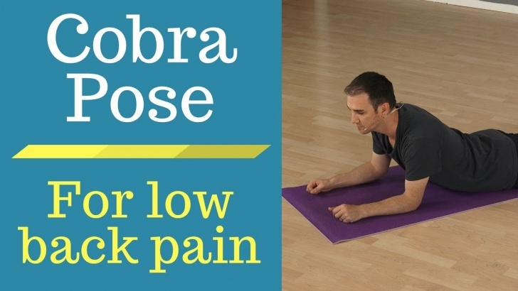 must know cobra pose back pain pictures