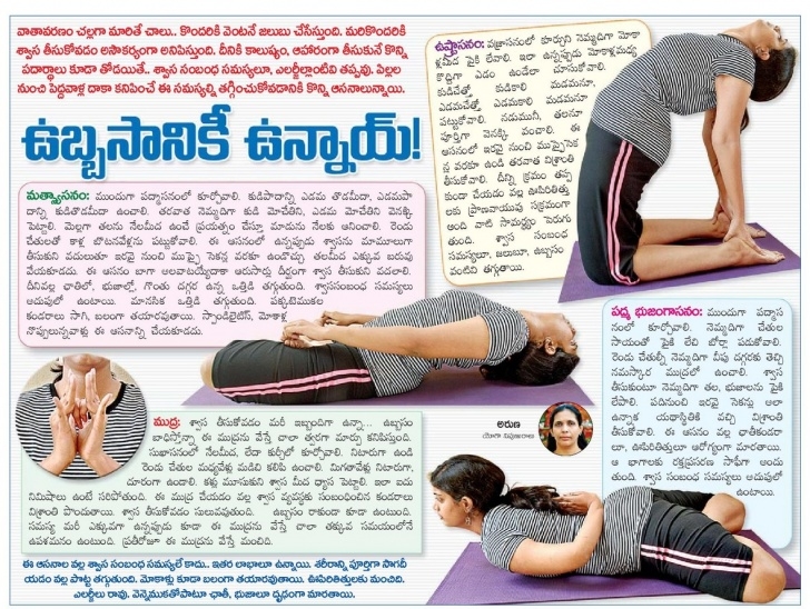 must know yoga asanas in telugu image
